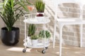 Baxton Studio Kitchen Furniture Trolleys and Carts
