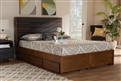 Baxton Studio Bedroom Furniture Beds (Storage)