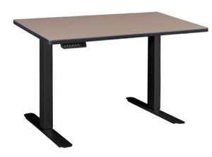 Esteem 42" Height Adjustable Power Desk - Beige/Black