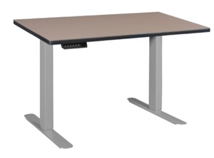 Esteem 42" Height Adjustable Power Desk - Beige/Grey