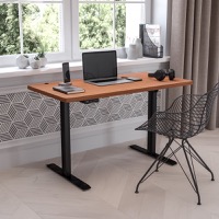 Sit & Stand Desks
