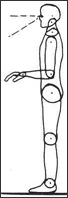Figure 3. Standing posture