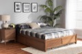 Baxton Studio Bedroom Furniture Bed Frames