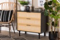 Baxton Studio Storage & Organization Shelving and Cabinets