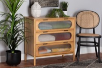 Baxton Studio Storage & Organization Shelving and Cabinets