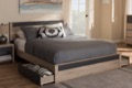 Baxton Studio Bedroom Furniture Beds (Storage)