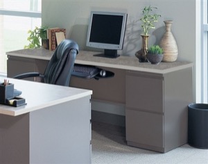 CSII 24"D Credenzas, 54"W x 24"D x 29"H, 2 F/F peds