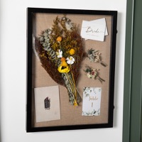 Display Cases