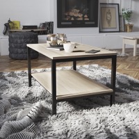 Emerson - Contemporary Style Rectangular 2 Tier Coffee Table - Driftwood