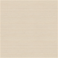 RUMBA TOP 24X48 HPL AISA/WI